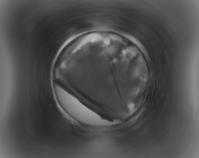 X0000083020958200703022000