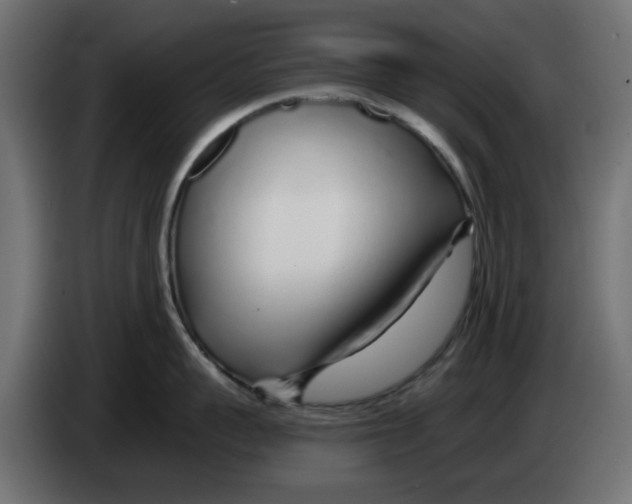 X0000083020959200703022000