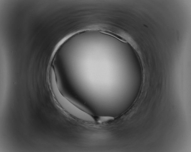 X0000083020960200703022000