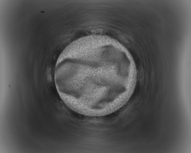 X0000083020962200703021959