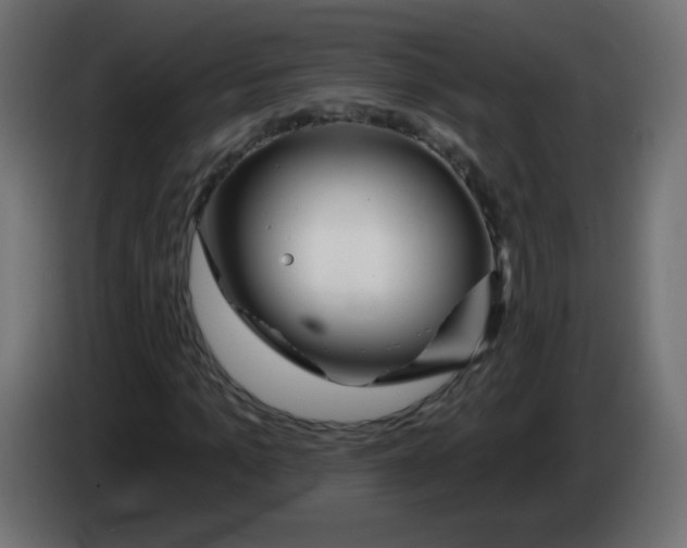 X0000083020965200703021959