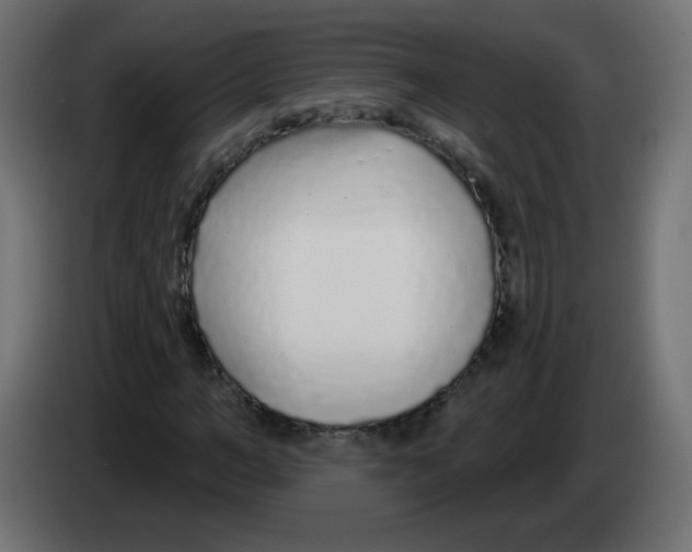 X0000083020966200703021959