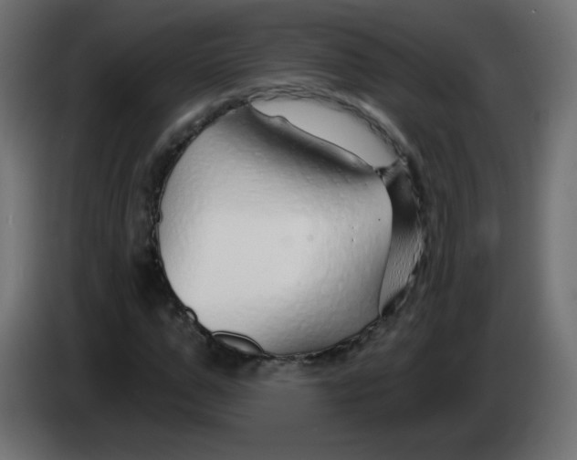 X0000083020967200703021959