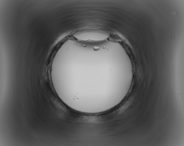 X0000083020970200703021959