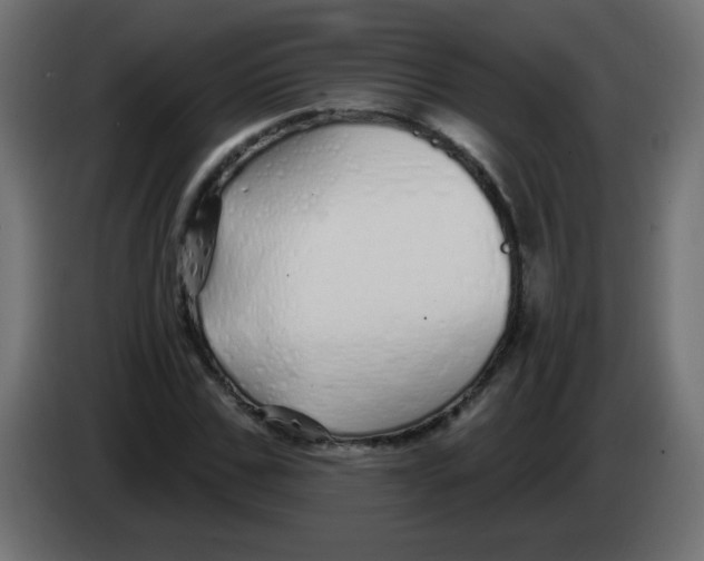 X0000083020971200703021959