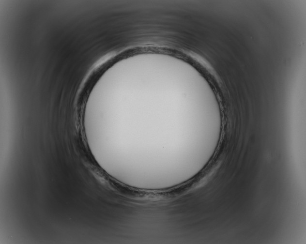 X0000083020974200703021959