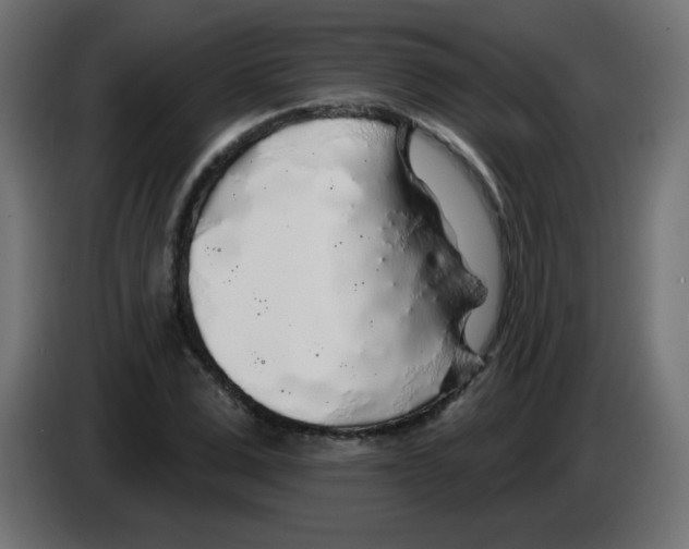 X0000083020975200703021959