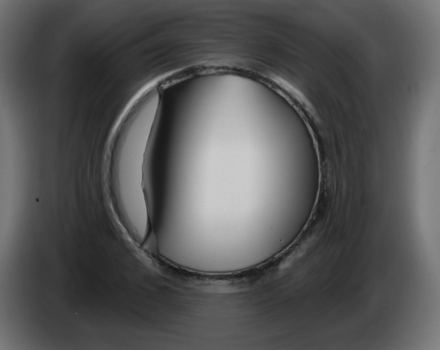 X0000083020976200703021959