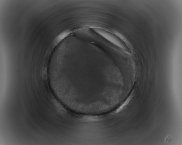 X0000083020977200703021959