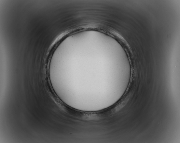 X0000083020978200703021959