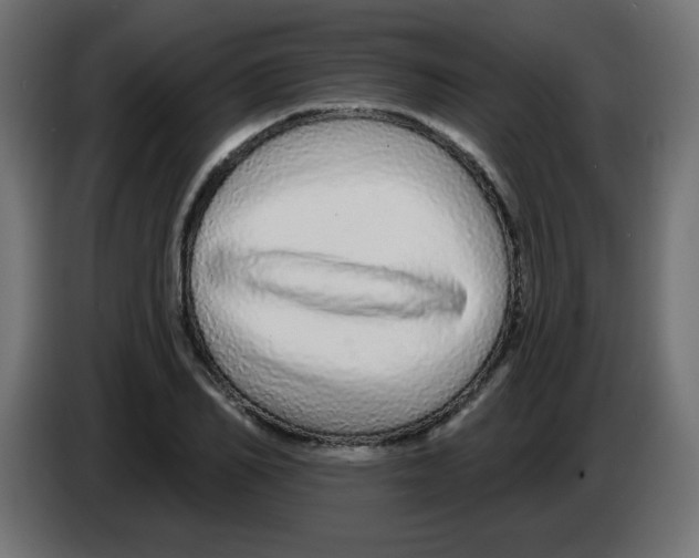 X0000083020982200703021959