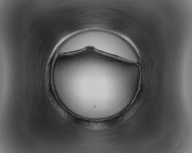 X0000083020983200703021959