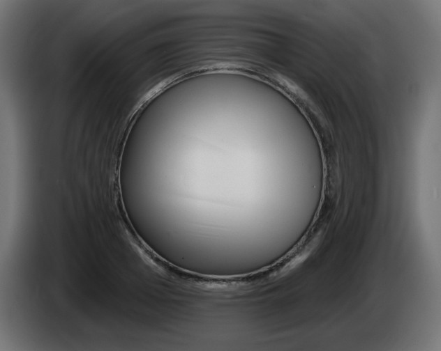 X0000083020985200703021959