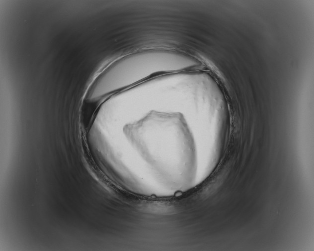 X0000083020986200703021959