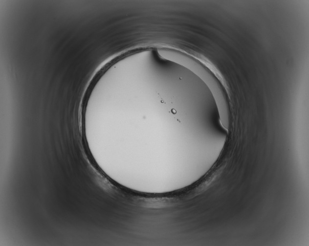 X0000083020988200703021959