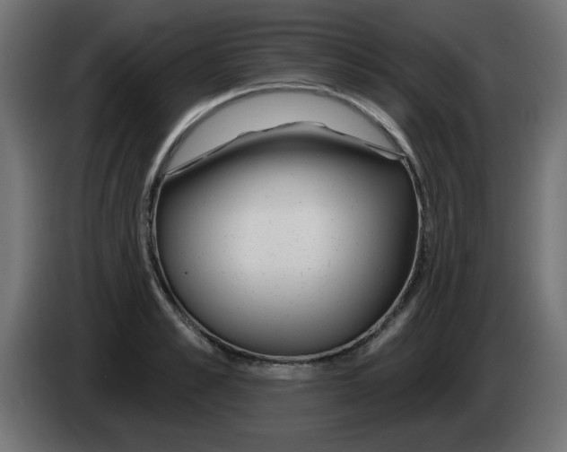 X0000083020989200703021959