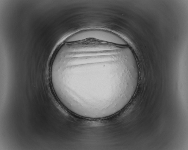 X0000083020990200703021959