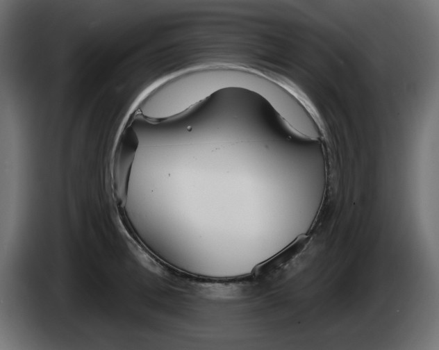 X0000083020996200703021958