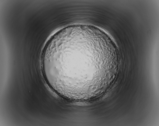 X0000083020998200703021958