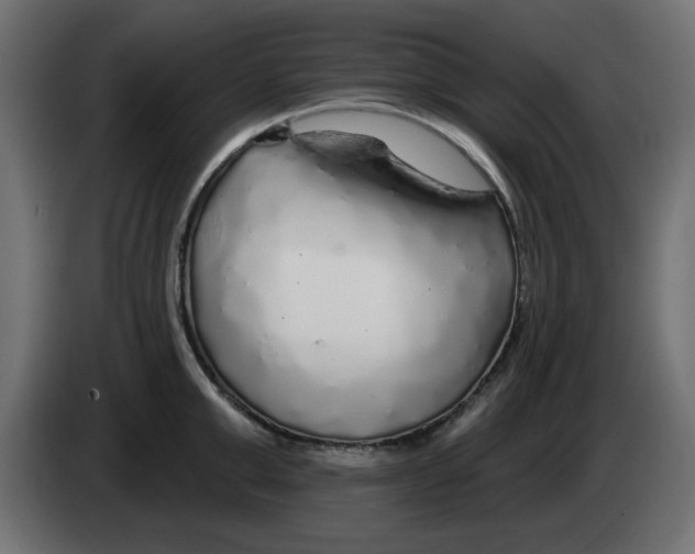 X0000083020999200703021958