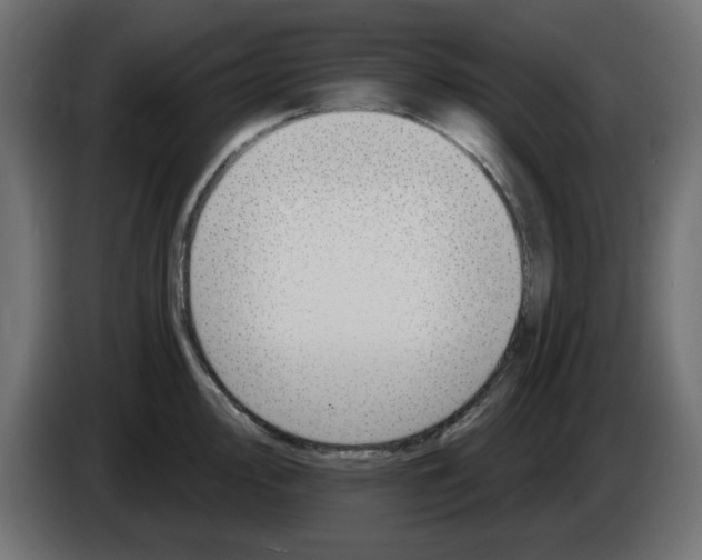 X0000083021000200703021958