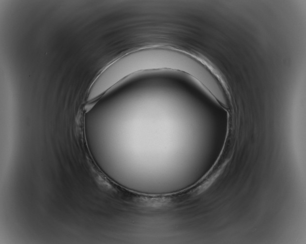 X0000083021001200703021958