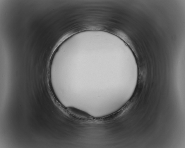 X0000083021002200703021958