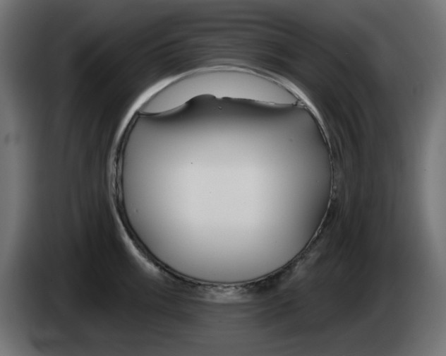 X0000083021003200703021958