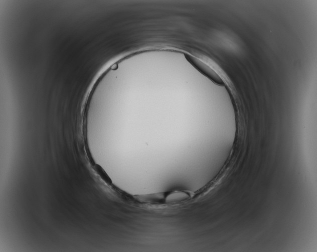 X0000083021004200703021958