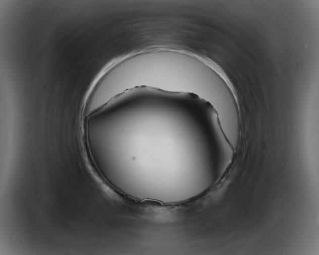 X0000083021005200703021958