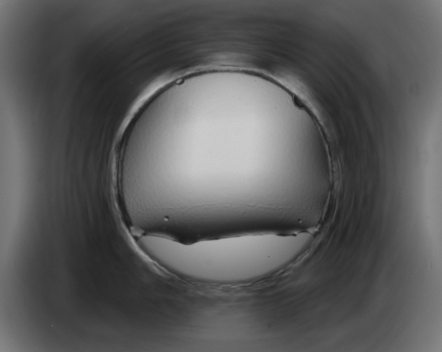 X0000083021006200703021958