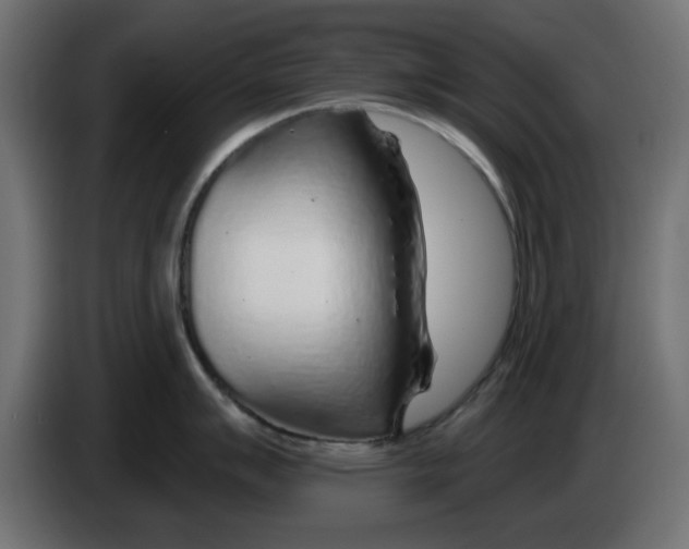 X0000083021007200703021958