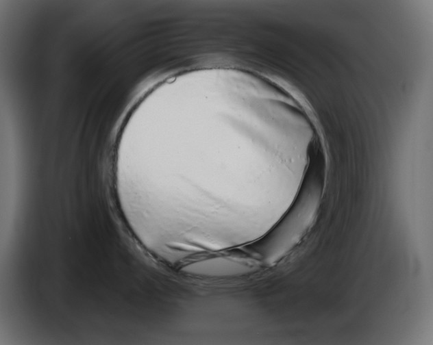 X0000083021008200703021958