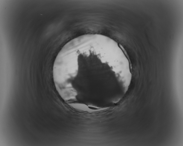 X0000083021009200703021958