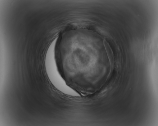 X0000083021010200703021958