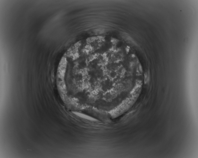 X0000083021011200703021958