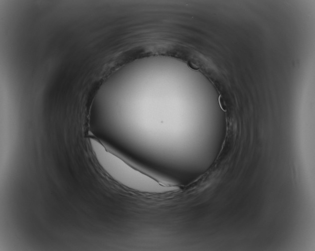 X0000083021012200703021958