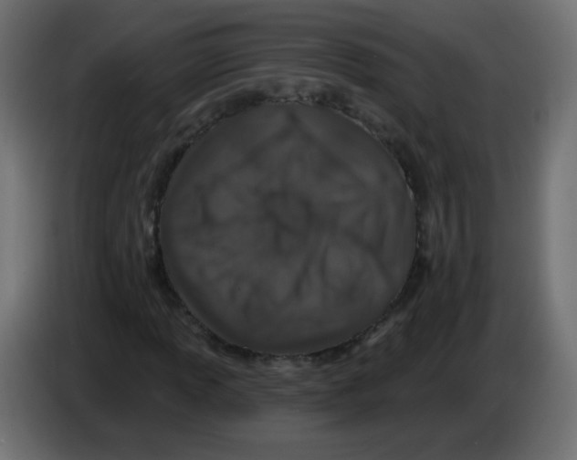 X0000083021013200703021958