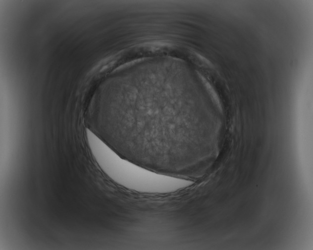 X0000083021014200703021958