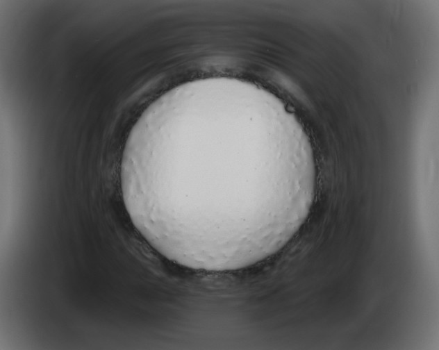 X0000083021015200703021958