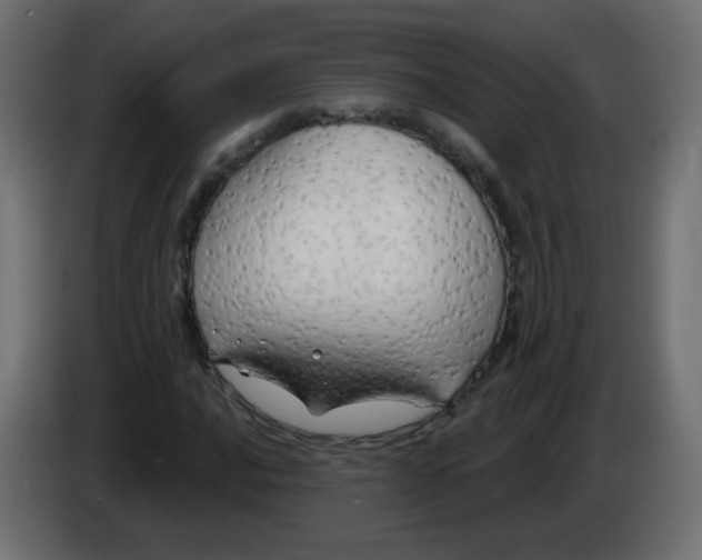 X0000083021016200703021958