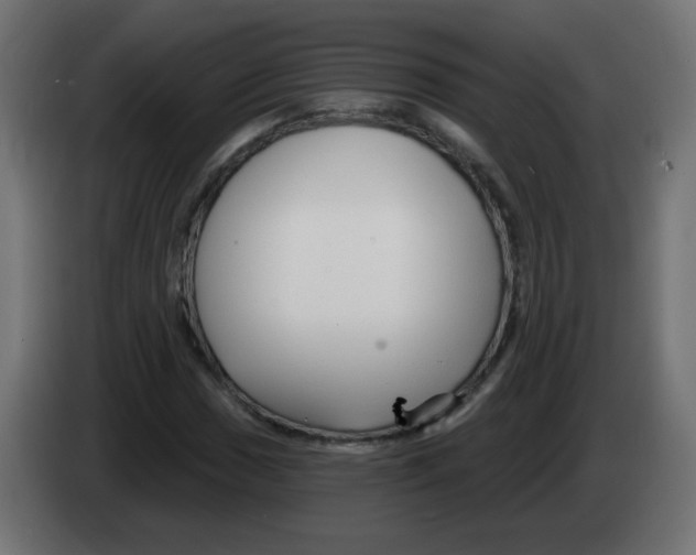 X0000083021017200703021958