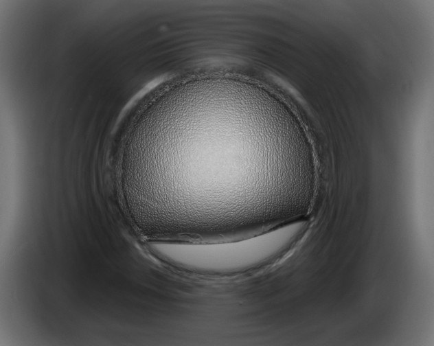 X0000083021018200703021958