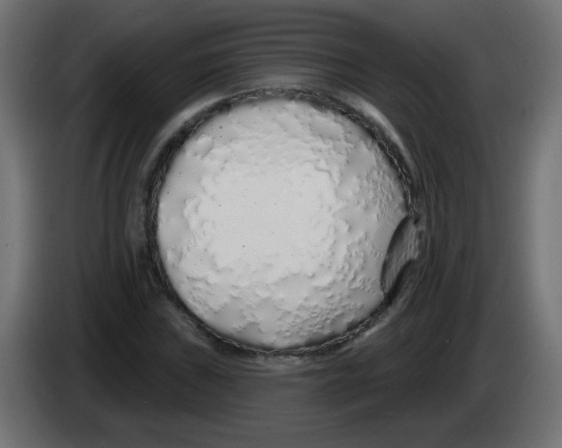 X0000083021019200703021958