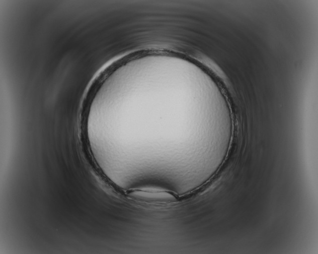 X0000083021020200703021958