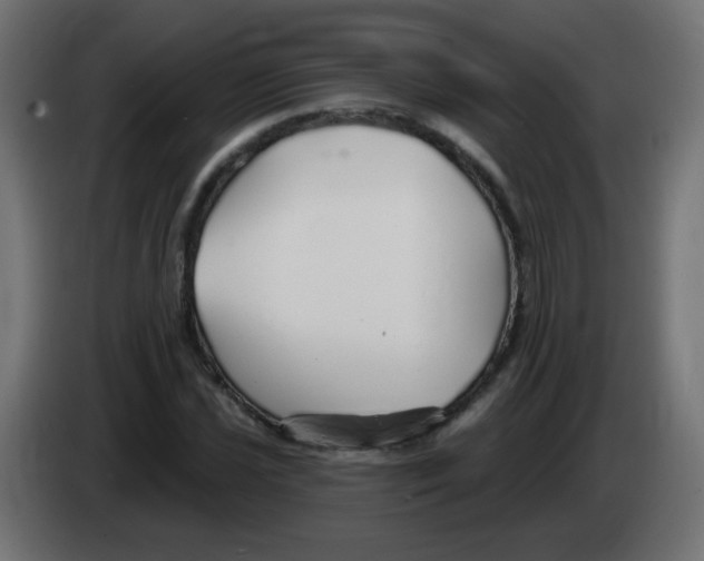 X0000083021021200703021958