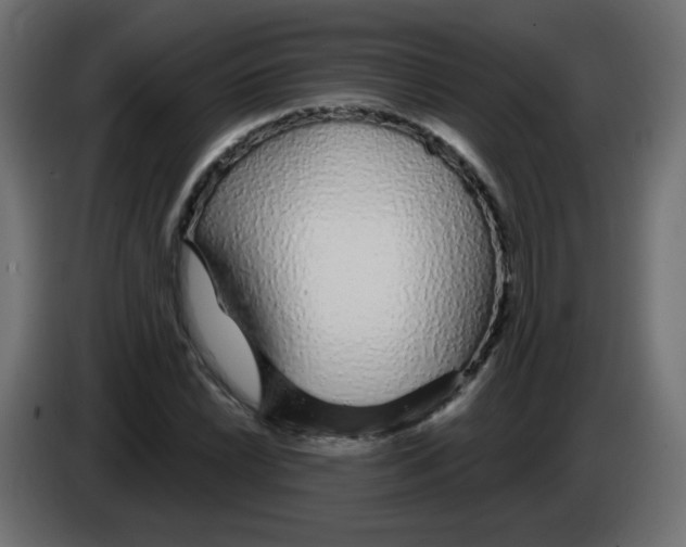 X0000083021022200703021958