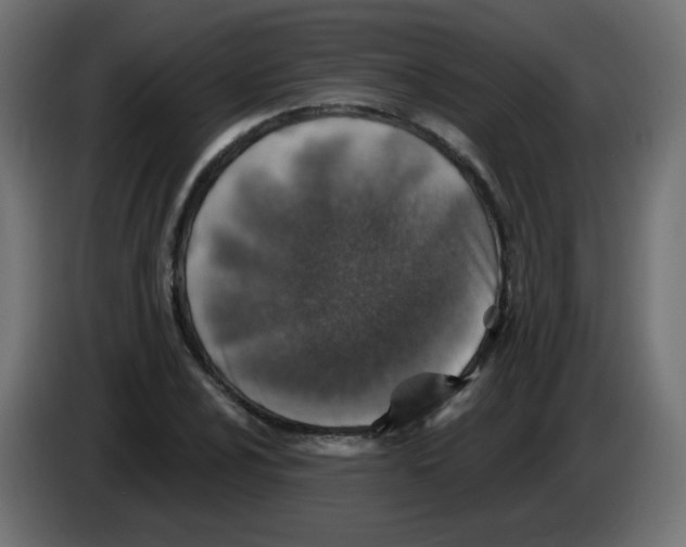 X0000083021024200703021958