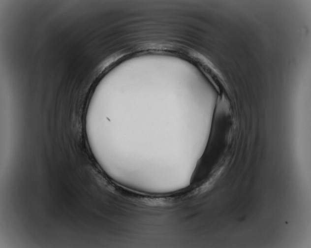 X0000083021025200703021958