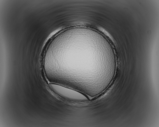 X0000083021026200703021958